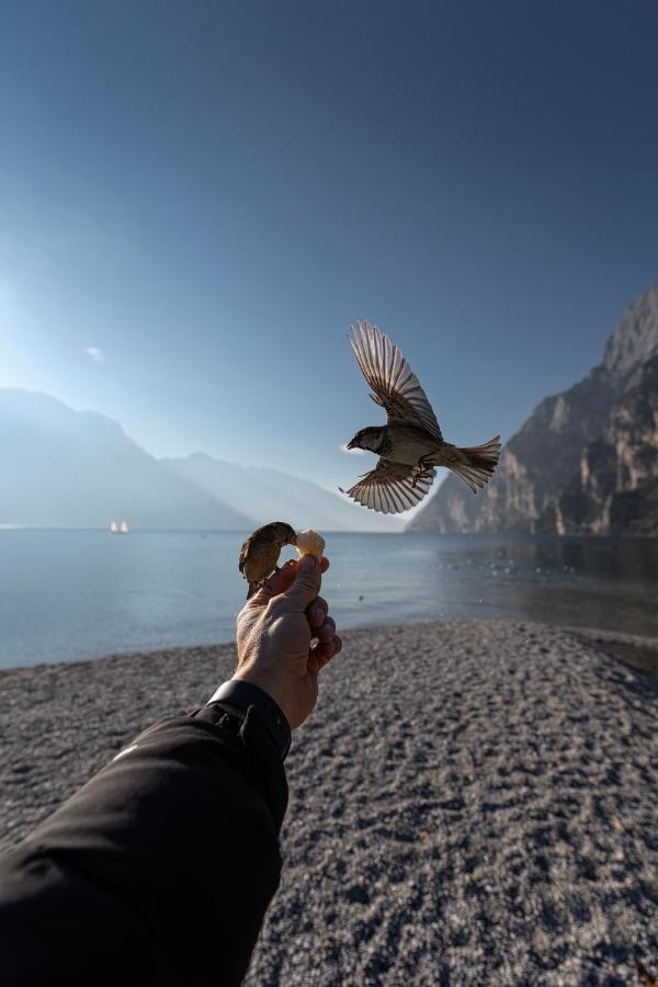 Le Calle Holiday Apartments Torbole Sul Garda Eksteriør bilde